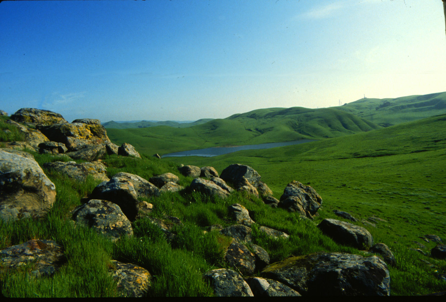 Lynch Canyon 